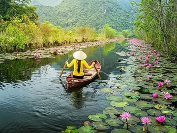 stream to pagoda
