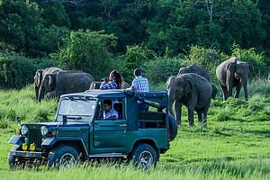 Hiriwadunna Village and Minneriya Jeep safari