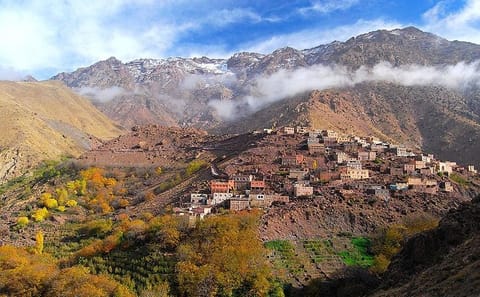 Private Day Trip to Atlas Mountains and Waterfalls from Marrakech