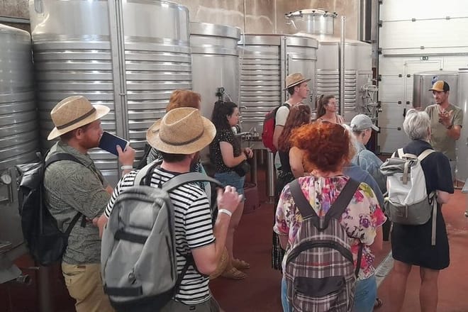 Private Algarve Wine Tour : 2 Wineries, Tastings & Tapas  9
