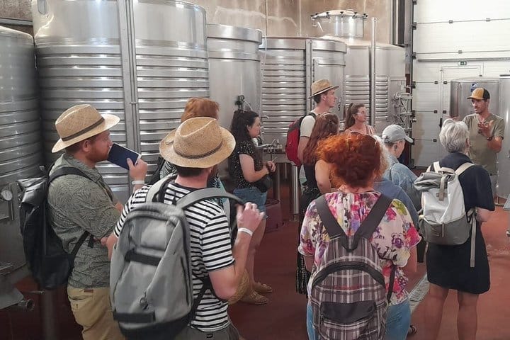 Private Algarve Wine Tour : 2 Wineries, Tastings & Tapas  9