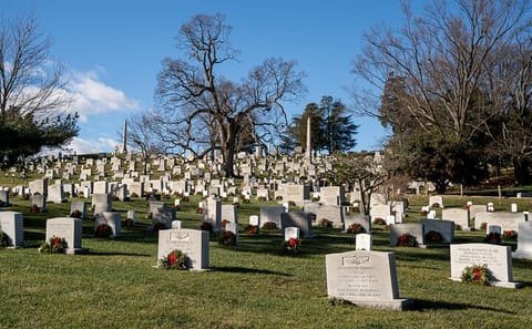 VIP Day Trip to Arlington from New York City