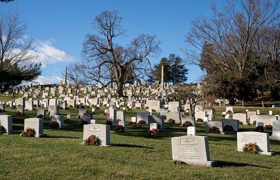 Washington D.C. VIP Tour from New York