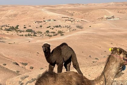 Private Camel Ride in Agafay Desert with Dinner Included