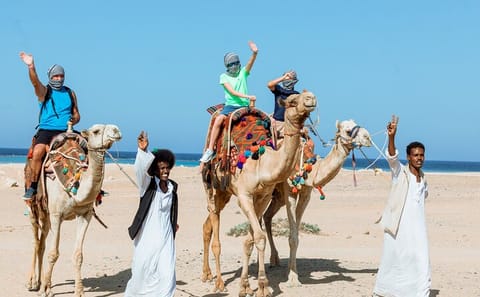 ATV and Camel Ride Adventure to Echo Mountain in Sharm El Sheikh