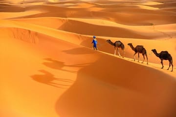 Private 9-Days Tour from Casablanca to Marrakech – Merzouga and Chefchaouen
