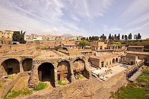 Half-Day Exclusive Private Tour of Pompeii and Herculaneum