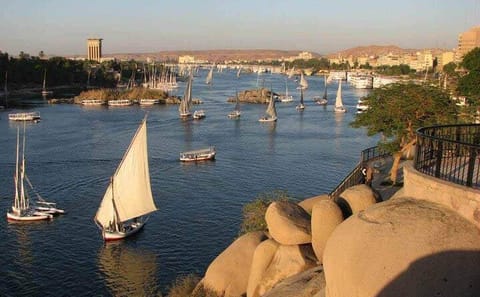 Private Guided Tour of Abu Simbel from Aswan