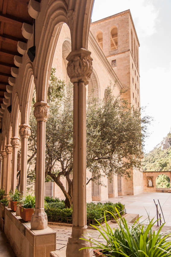 Montserrat, Food & Wine 4