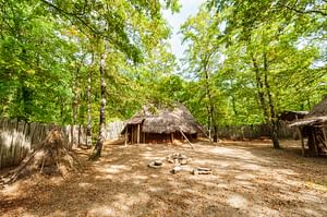 Adventure into prehistory in the Archaeological Park of Cetona