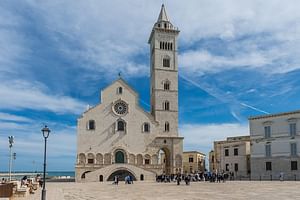Puglia- guided tour of the city of Trani 