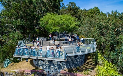 Wine Tasting and 4x4 Adventure in Madeira's Scenic Spots