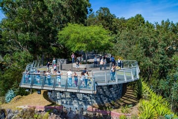 Wine Tasting and 4x4 Adventure in Madeira's Scenic Spots