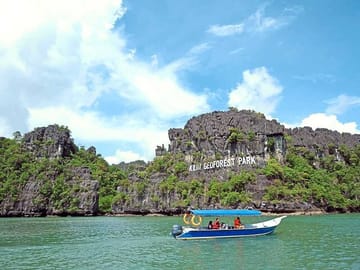 Langkawi Mangrove Boat Tour