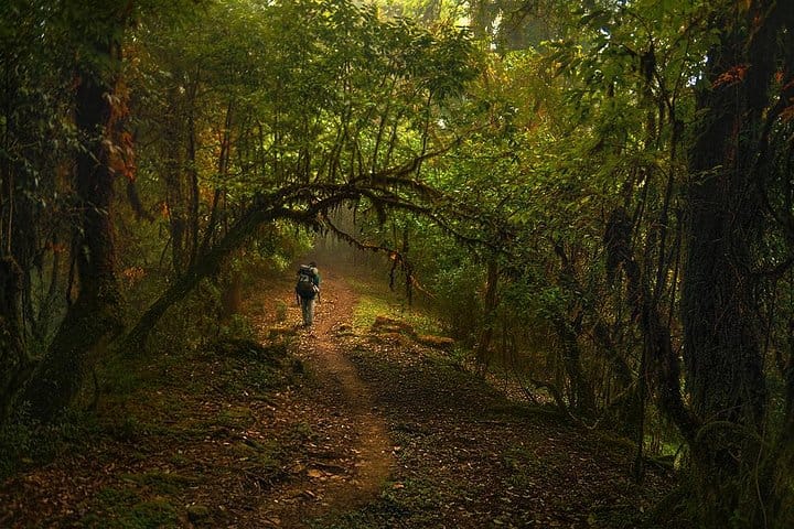 19 Days Mera Peak Climbing & Expedition – One Life-Changing Himalayan Adventure