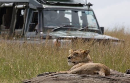 5-Day Group Tour of Masai Mara, Nakuru, and Naivasha