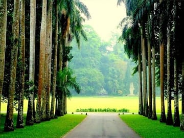 Private 2-Day Tour of Kandy, Nuwara Eliya, and Hingula