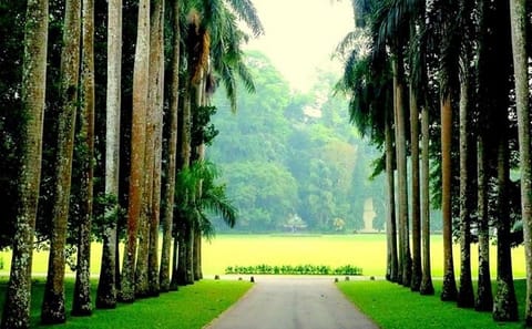 Private 2-Day Tour of Kandy, Nuwara Eliya, and Hingula