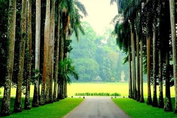 Private 2-Day Tour of Kandy, Nuwara Eliya, and Hingula