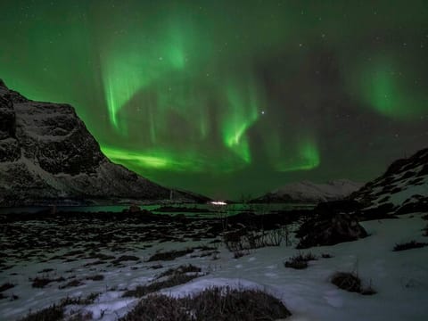 Iceland Reykjavik Northern Lights Bus Tour guided in Chinese冰岛雷市中文极光团, photo 3