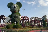 Miracle Garden Global Village Transportation from RAK 9