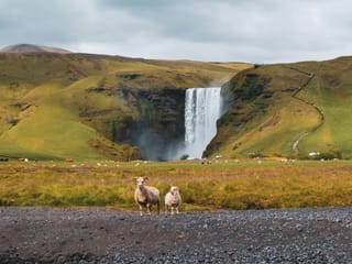 Private South Coast Adventure and Magical Viking Stories & Dinner, photo 30