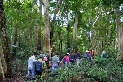 Cat Tien Day Trip from HCMC: Jungle Trek & Wildlife Safari