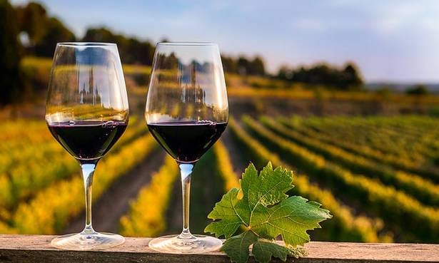 Private Transfer San Antonio Pier to Airport with Vineyard Lunch 10