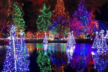 Private Vancouver Christmas Light Tour with Transfers