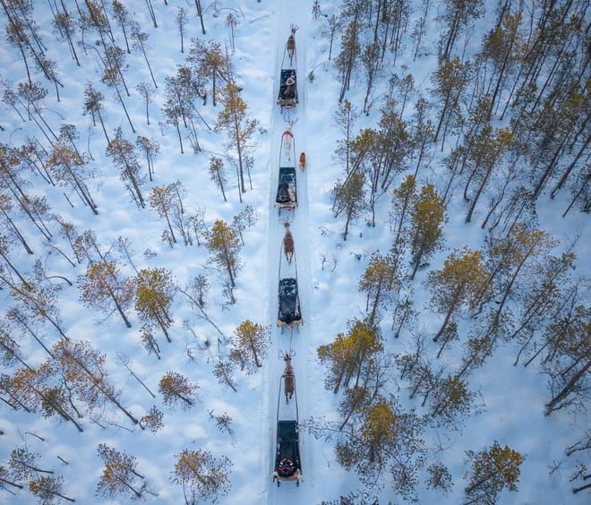 Long Reindeer Safari in the nature of Lapland (sleigh ride about 50-60 min)