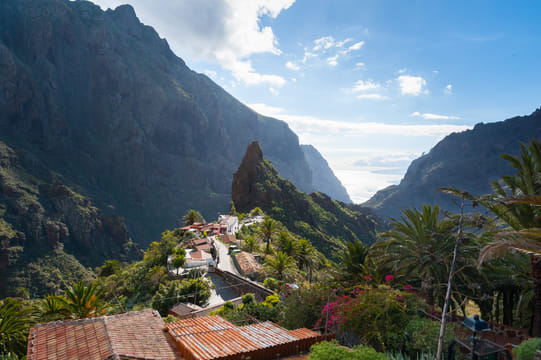 Tenerife Highlights Full-Day Tour