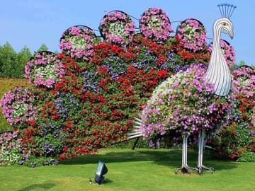 Dubai Miracle Garden