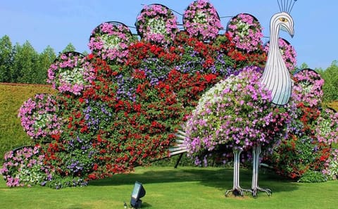 Explore Dubai Miracle Garden with Private Transfers