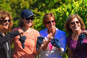 Half day Chianti Wine Tasting Tour in Tuscany - Ultimate Small Group Tasting