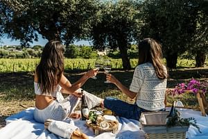 Ischia: Wine Tasting Experience with  Vineyard's Tour & Transfer Included