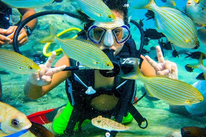 Scuba Diving Tour with Lunch in Alanya 5