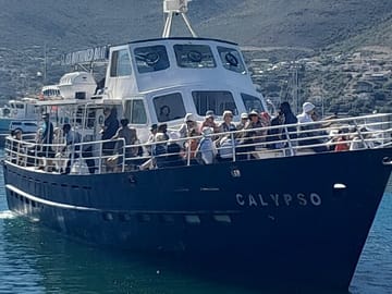 Private Tour of Cape Point, Hout Bay, and Penguins