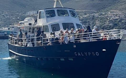 Private Tour of Cape Point, Hout Bay, and Penguins
