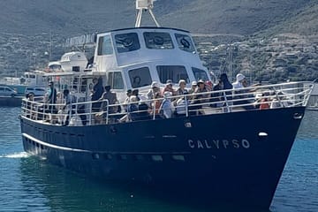Private Tour of Cape Point, Hout Bay, and Penguins