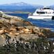 Navegacin por el canal Beagle