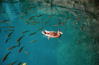 Private - Split to Zagreb with Plitvice lakes tour 4