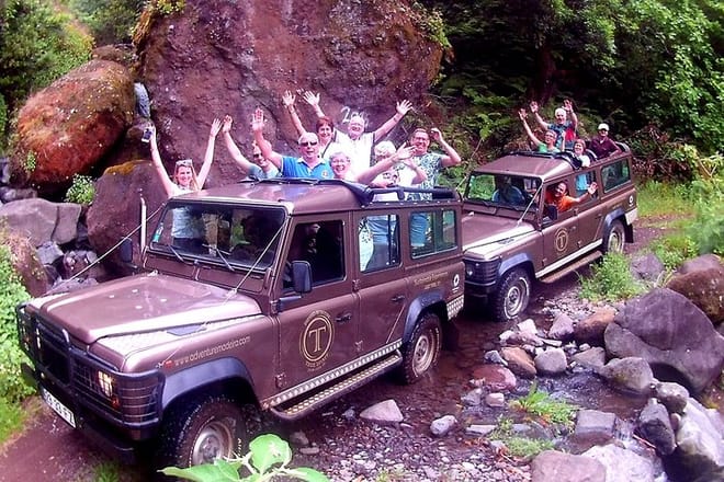 Madeira Wine Tastings , Vineyards and Skywalk, Full day tour in 4x4 Open Roof  3