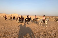 One Hour Horseback Riding Trip with Transfer - Sharm El Sheikh