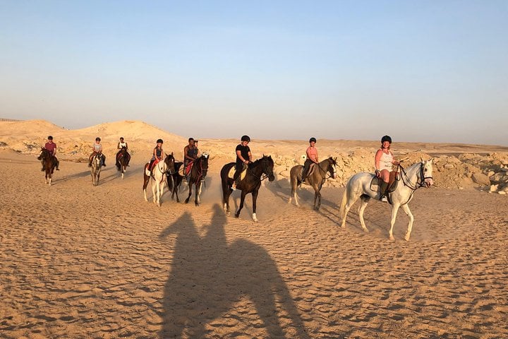 One Hour Horseback Riding Trip with Transfer - Sharm El Sheikh