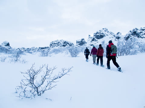 Lake Mývatn Snowshoe Hiking 