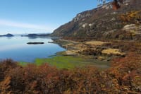 Tierra del Fuego National Park With Trekking And Canoes