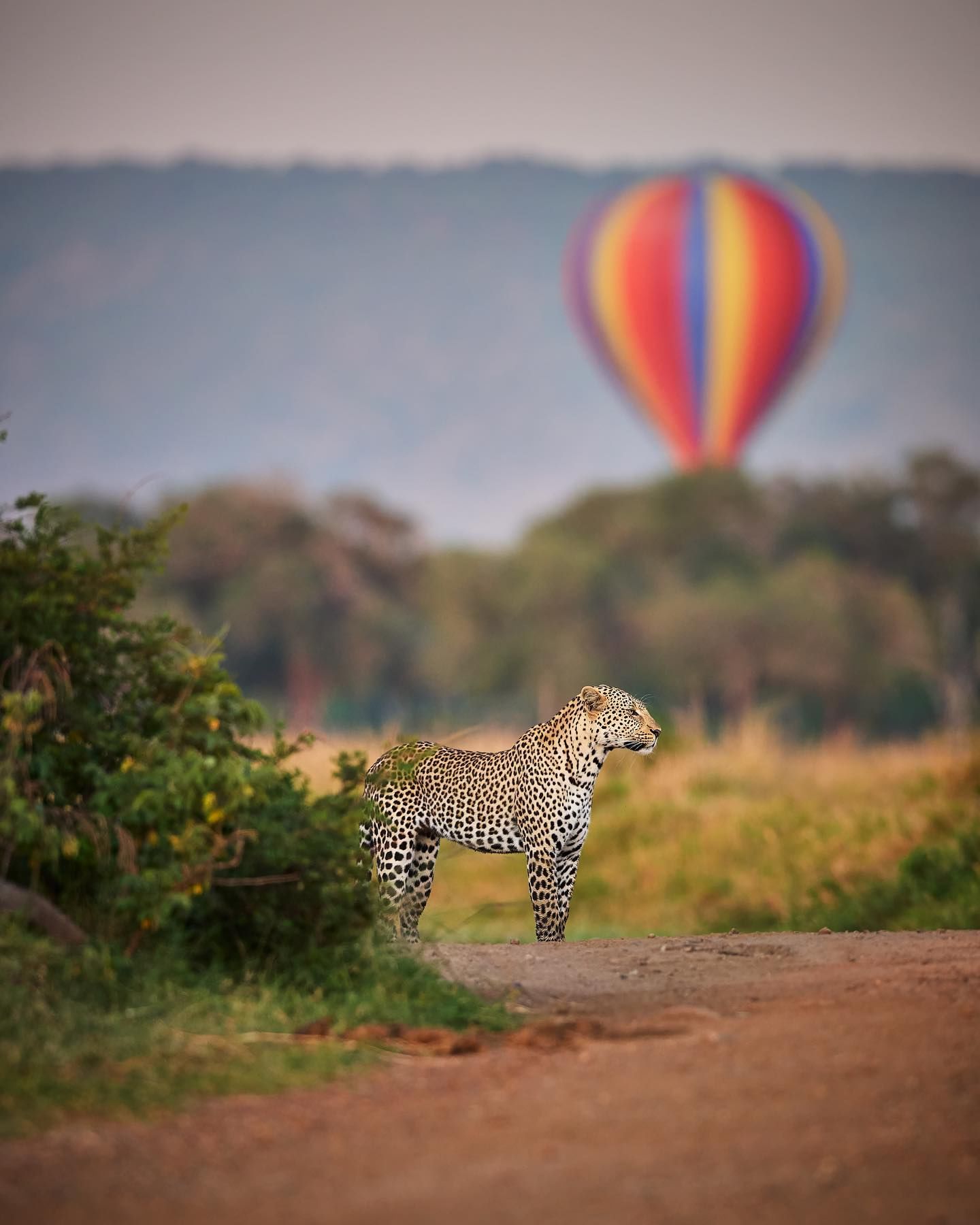 5 Days Nairobi & Maasai Mara Fly In Safari