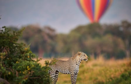5-Day Wildlife Safari in Nairobi and Maasai Mara, Kenya