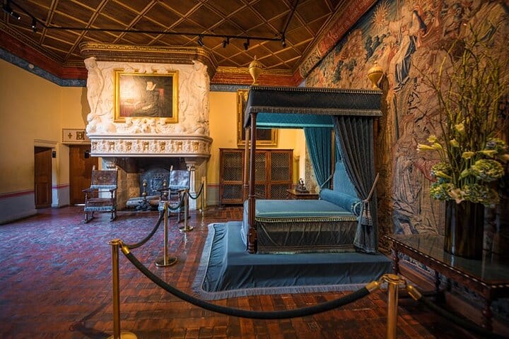 Chambord, Chenonceau and Amboise Private One-Day Tour from Paris 3