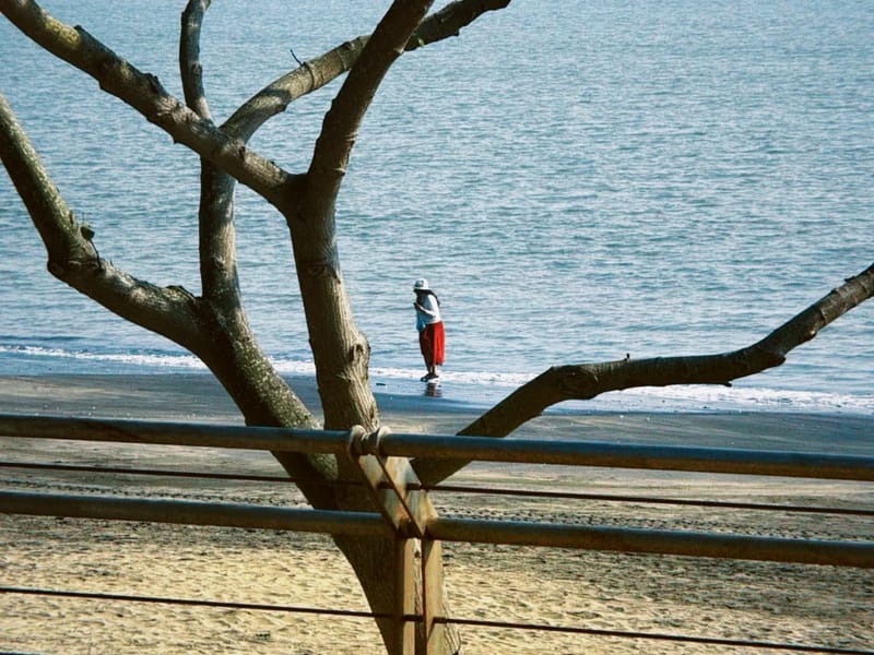 Macau: Coloane Coast, A-Ma & Black Sands Private Day Trip